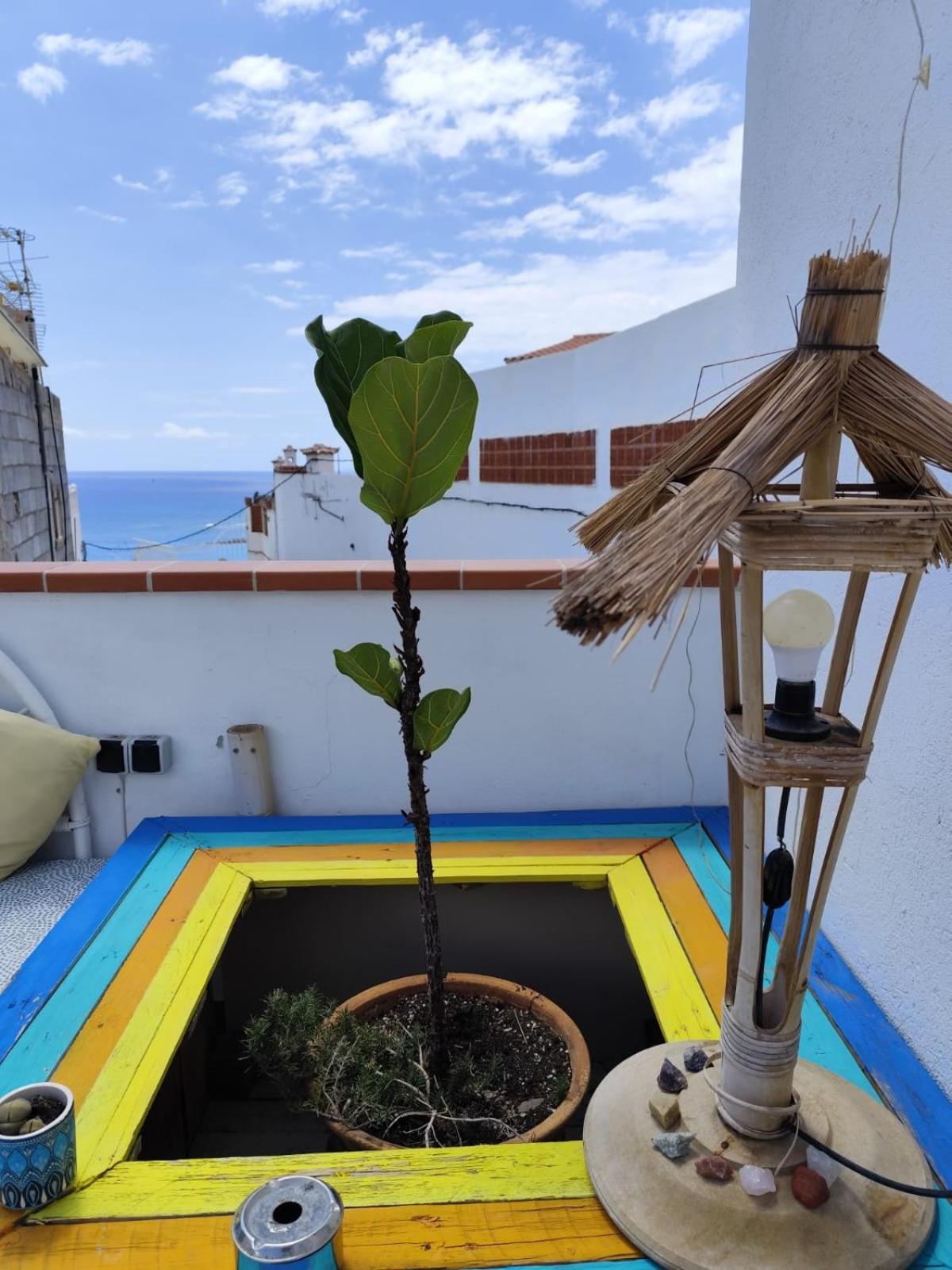 ホテル Banana Surf House ロスクリスティアーノス エクステリア 写真